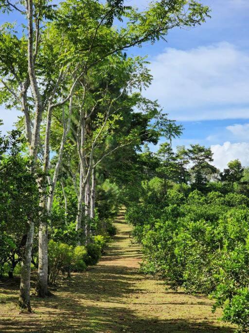 Hospedaje Finca Agroturistica Dona Rufa Rio Sereno Esterno foto