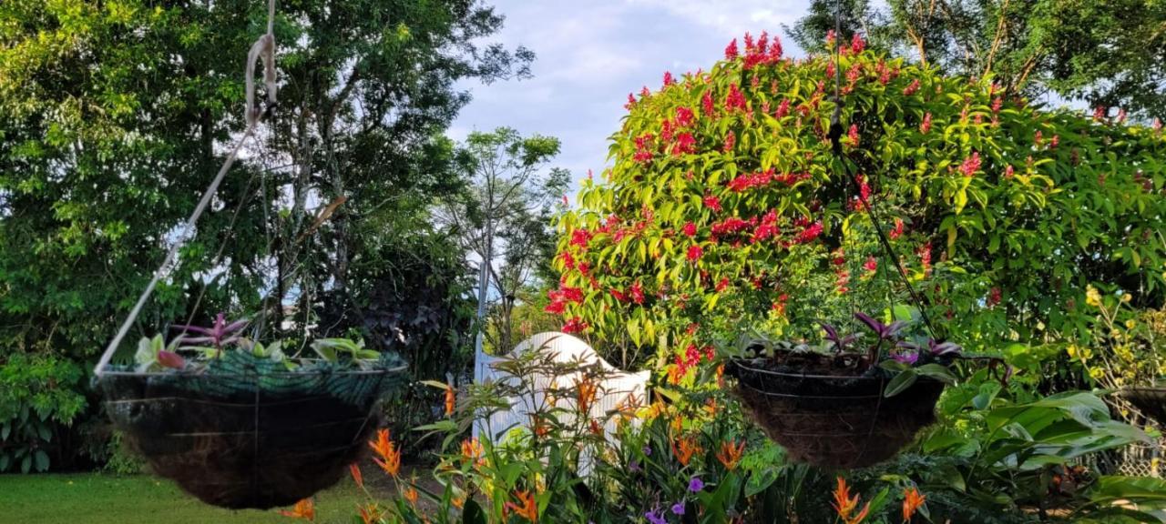 Hospedaje Finca Agroturistica Dona Rufa Rio Sereno Esterno foto