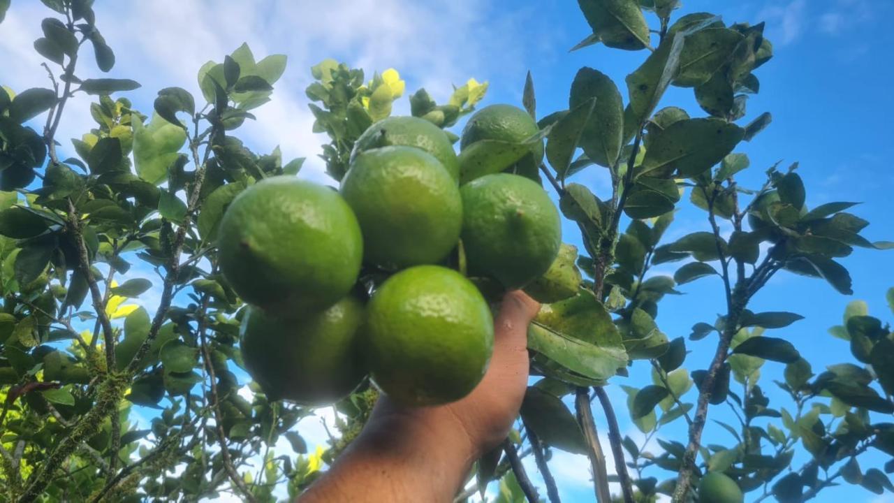 Hospedaje Finca Agroturistica Dona Rufa Rio Sereno Esterno foto