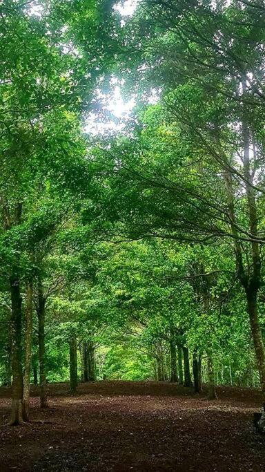 Hospedaje Finca Agroturistica Dona Rufa Rio Sereno Esterno foto