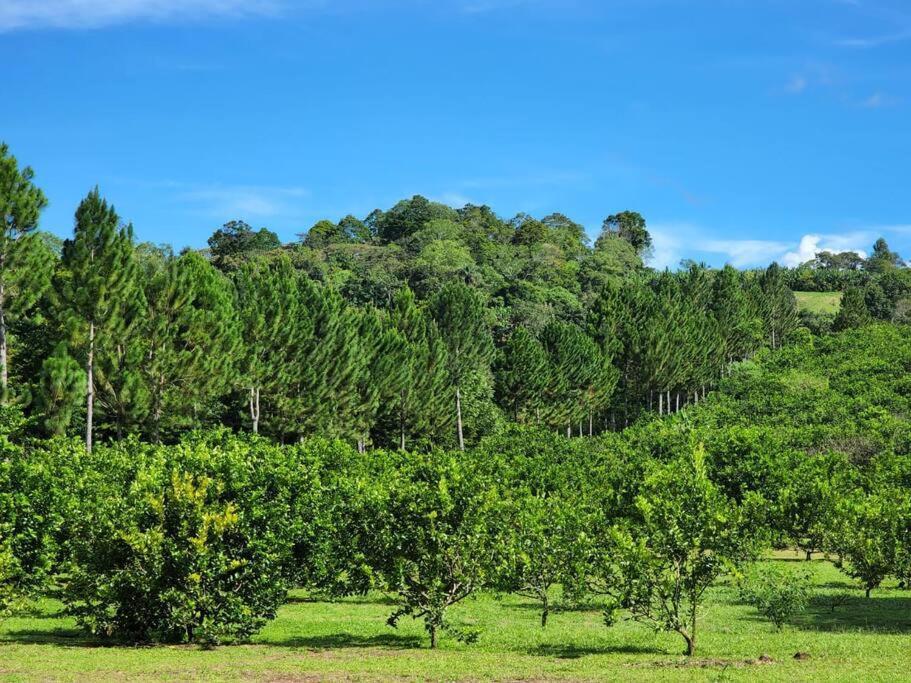 Hospedaje Finca Agroturistica Dona Rufa Rio Sereno Esterno foto