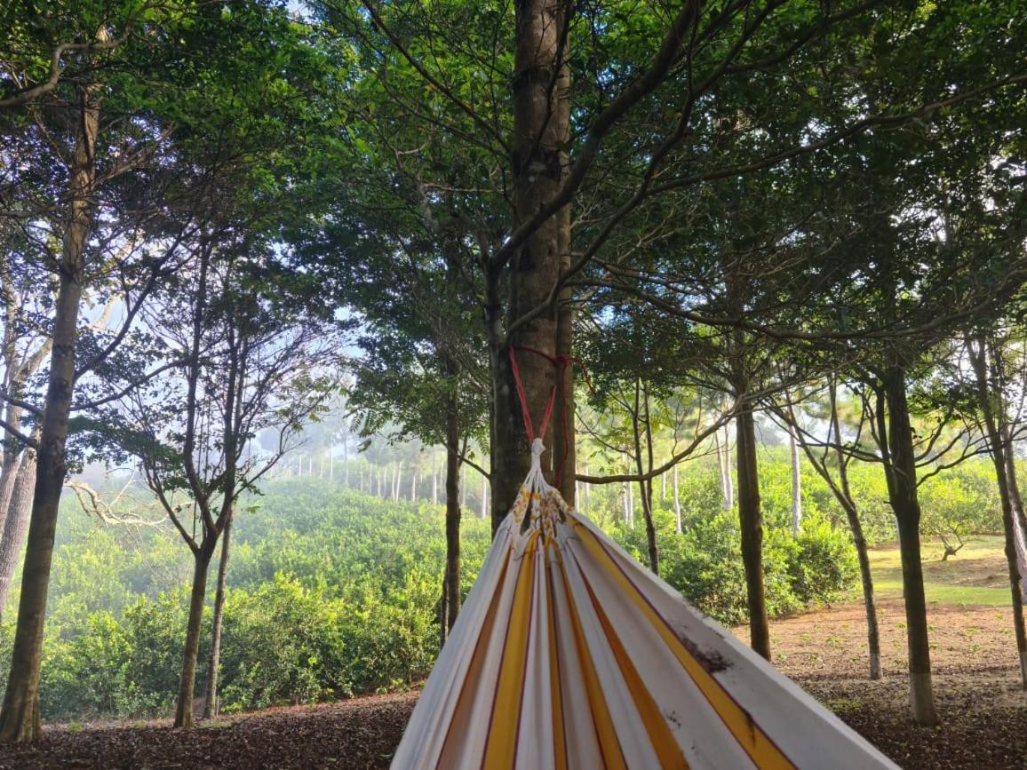 Hospedaje Finca Agroturistica Dona Rufa Rio Sereno Esterno foto