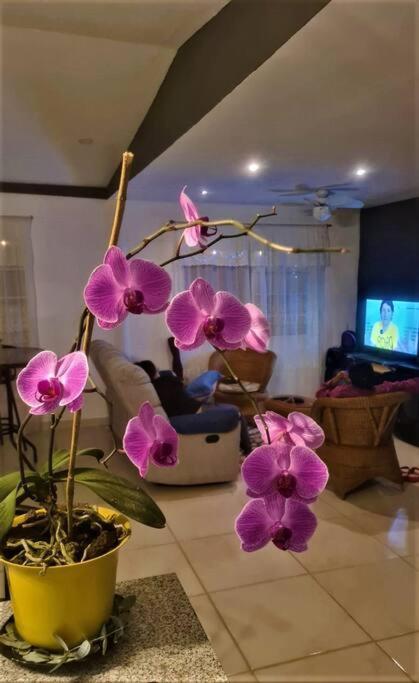 Hospedaje Finca Agroturistica Dona Rufa Rio Sereno Esterno foto