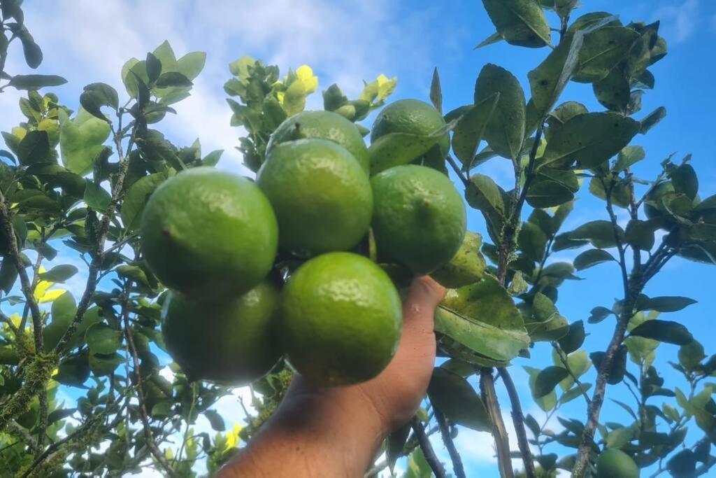 Hospedaje Finca Agroturistica Dona Rufa Rio Sereno Esterno foto